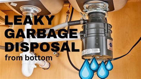 insinkerator garbage disposal leaking from bottom|Causes of an InSinkErator Disposal Leak and How to Fix it